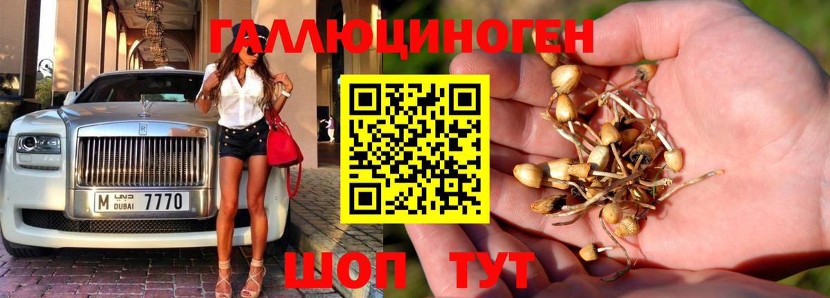 Псилоцибиновые грибы мухоморы  Вход с VPN  Магадан  Галлюциногенные грибы Cubensis 