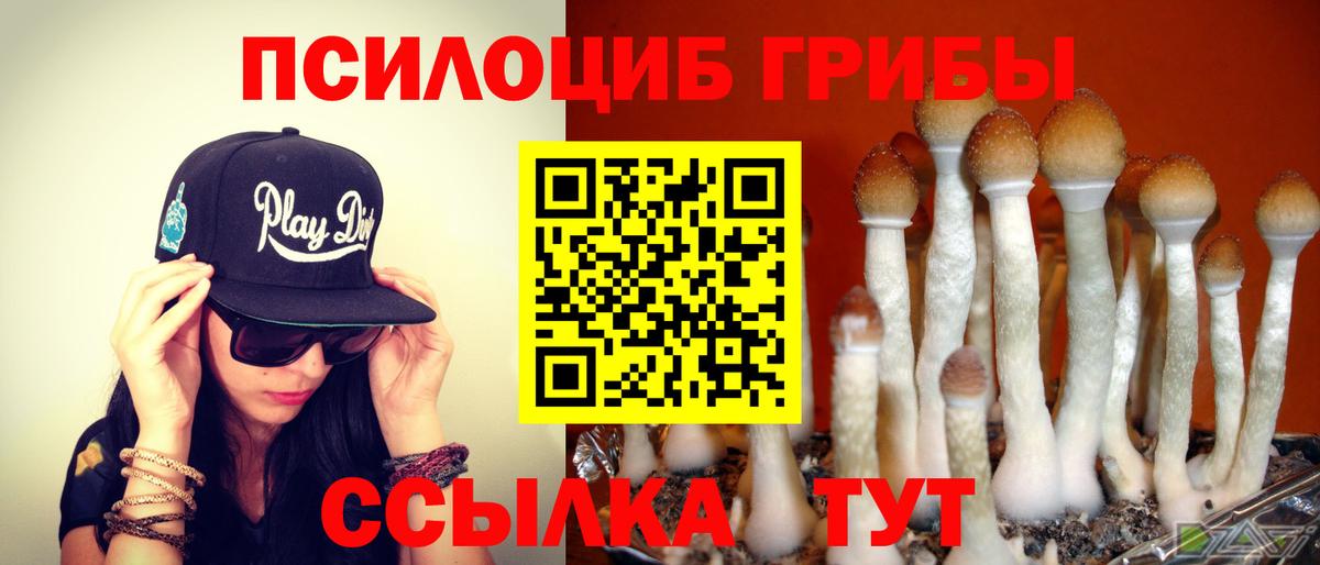Галлюциногенные грибы мухоморы Магадан